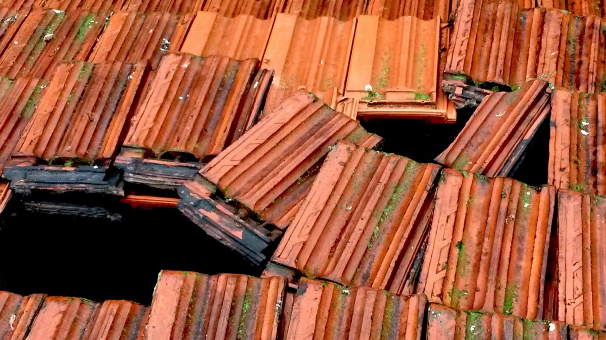 Stacks Image 141