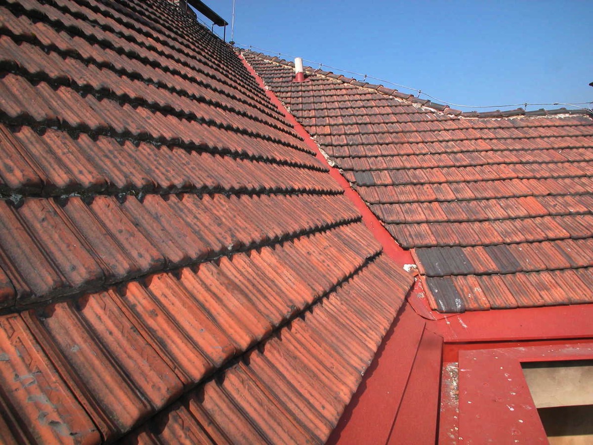 Stacks Image 104