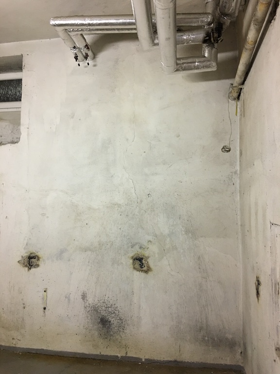 Stacks Image 296